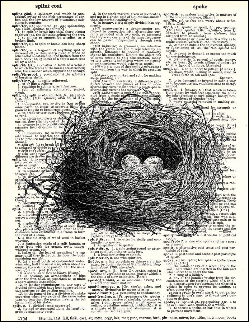 8 x 10.5 Dictionary Art Print Printed On Authentic Vintage Dictionary Book Page Fresh Prints of CT Three Dandelions 8 x 10.5 Dictionary Art Print Printed On Authentic Vintage Dictionary Book Page Fresh Prints of CT Three Dandelions